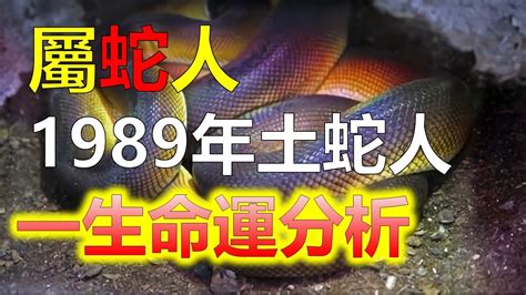 1989蛇男|生肖蛇: 性格，愛情，2024運勢，生肖1989，2001，2013